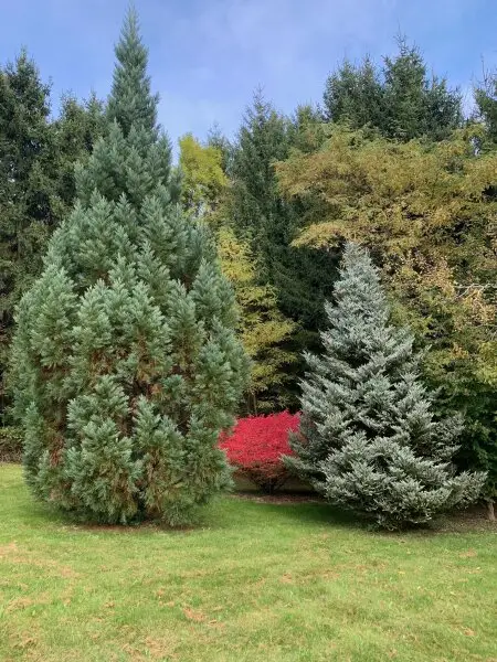 Landhaus in Alleinlage