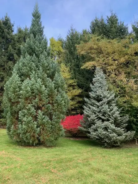 Landhaus in Alleinlage