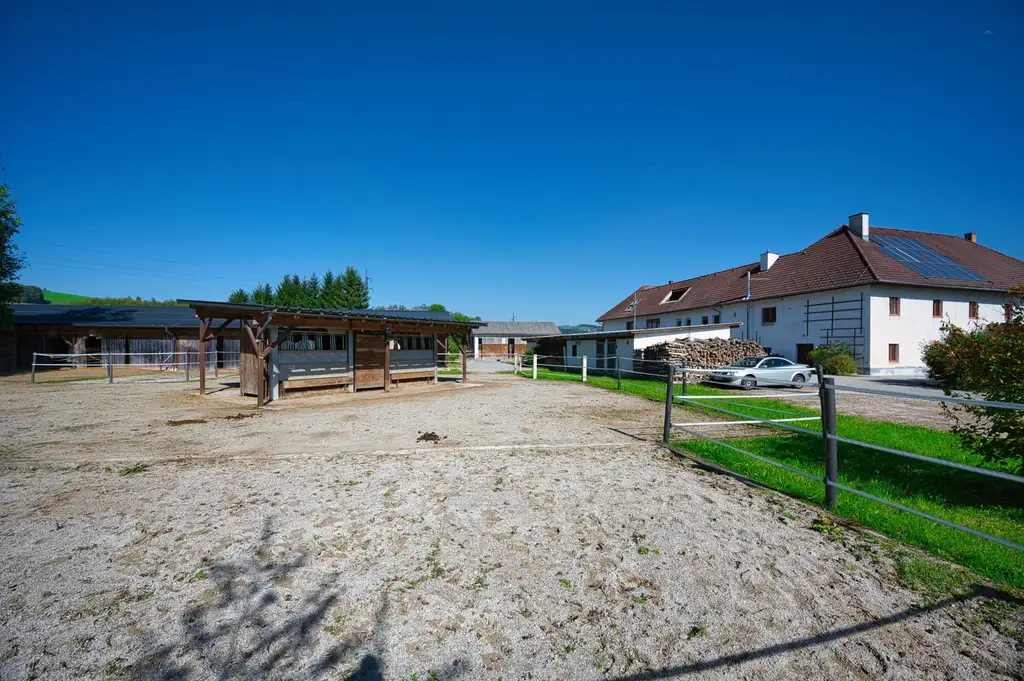 Reiterhof. Vierkanter. Wirtshaus. Zimmervermietung. Wohnungen. Natur.