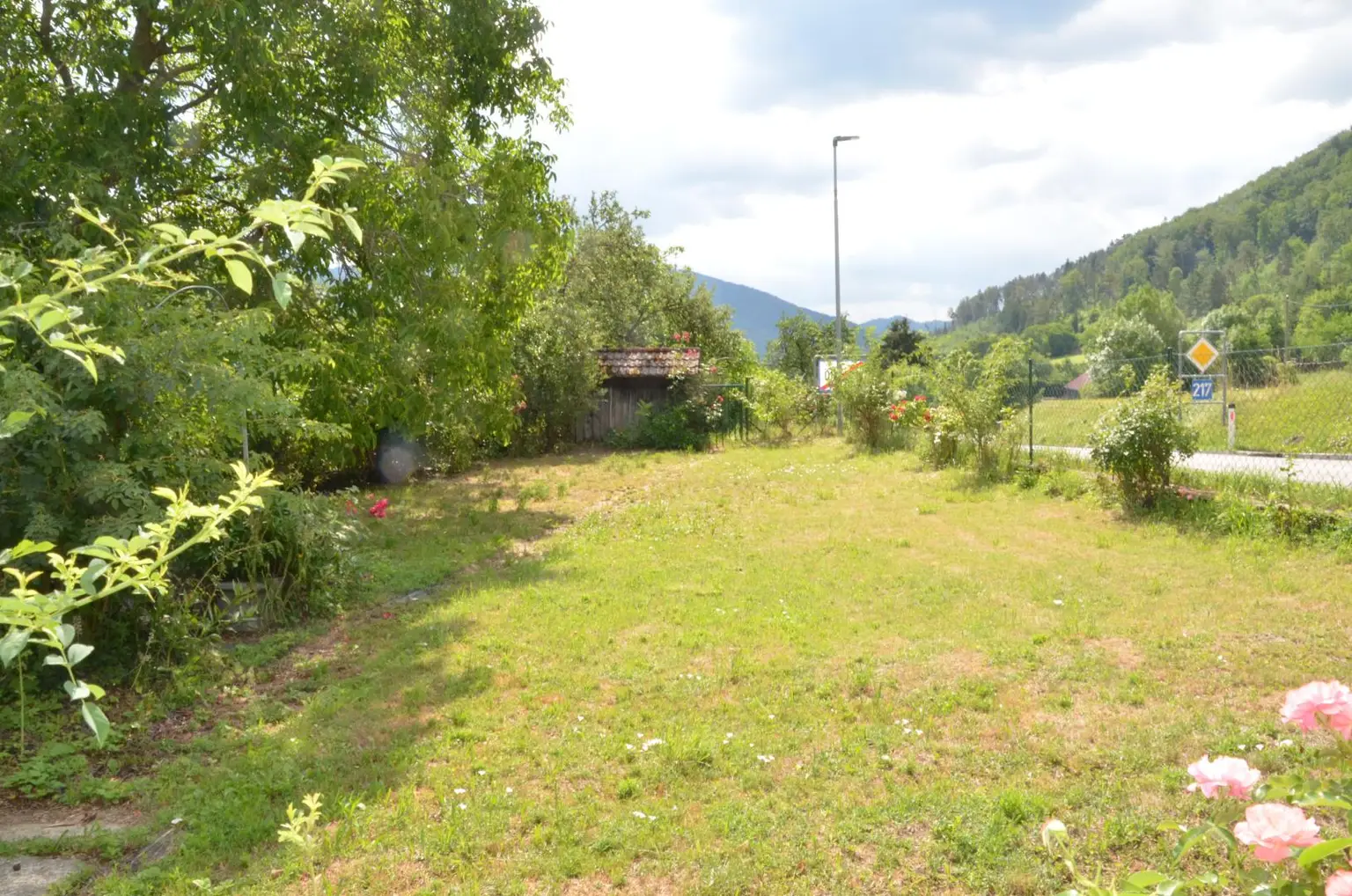 Vorgarten Ansicht 1