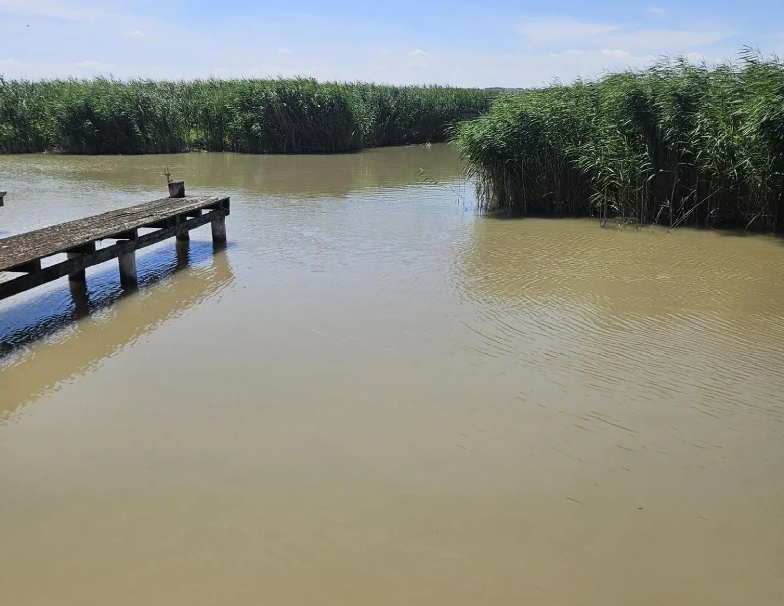 Gelegenheit - Seehütte am Neusiedlersee