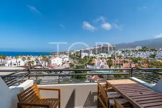 Studio-Las-Americas-xxx-Teneriffa-13