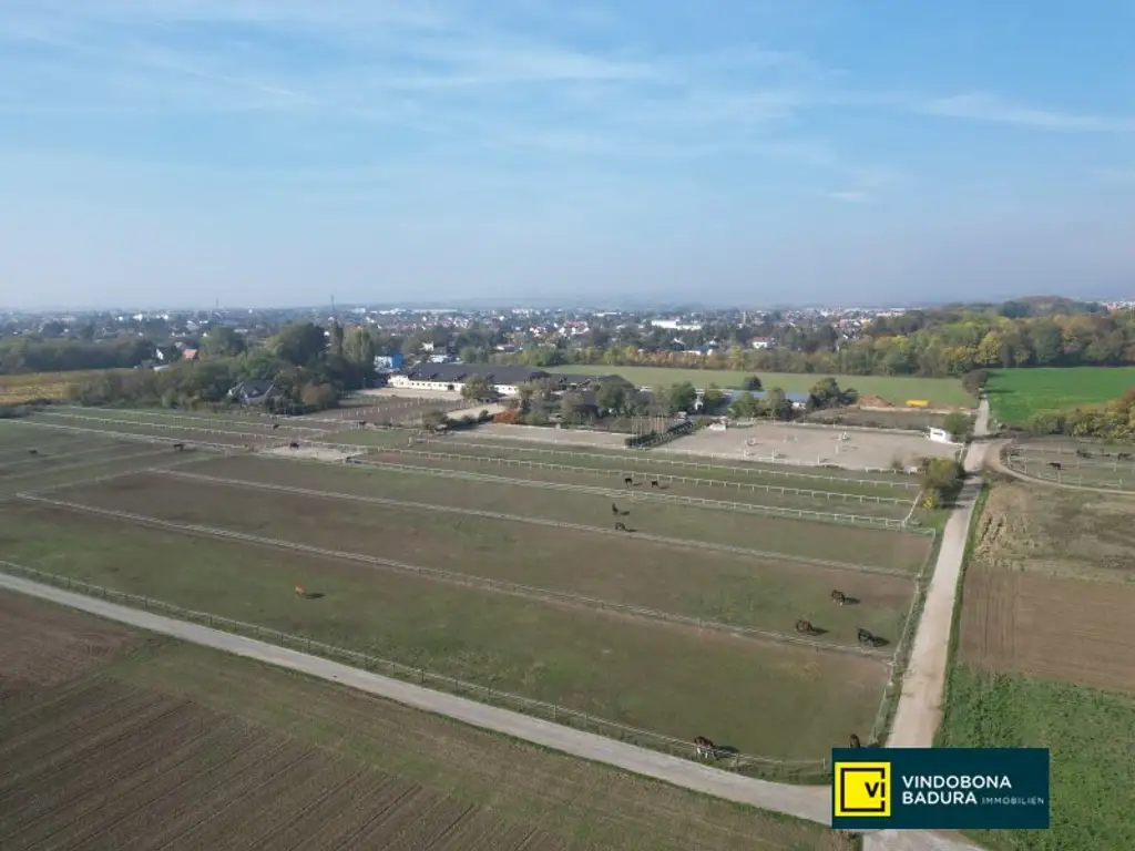 Exklusive Reitsportanlage vor den Toren Wiens – 145 Boxen | Reithallen | Reitplätze | Koppeln | Villa & Personalwohnungen