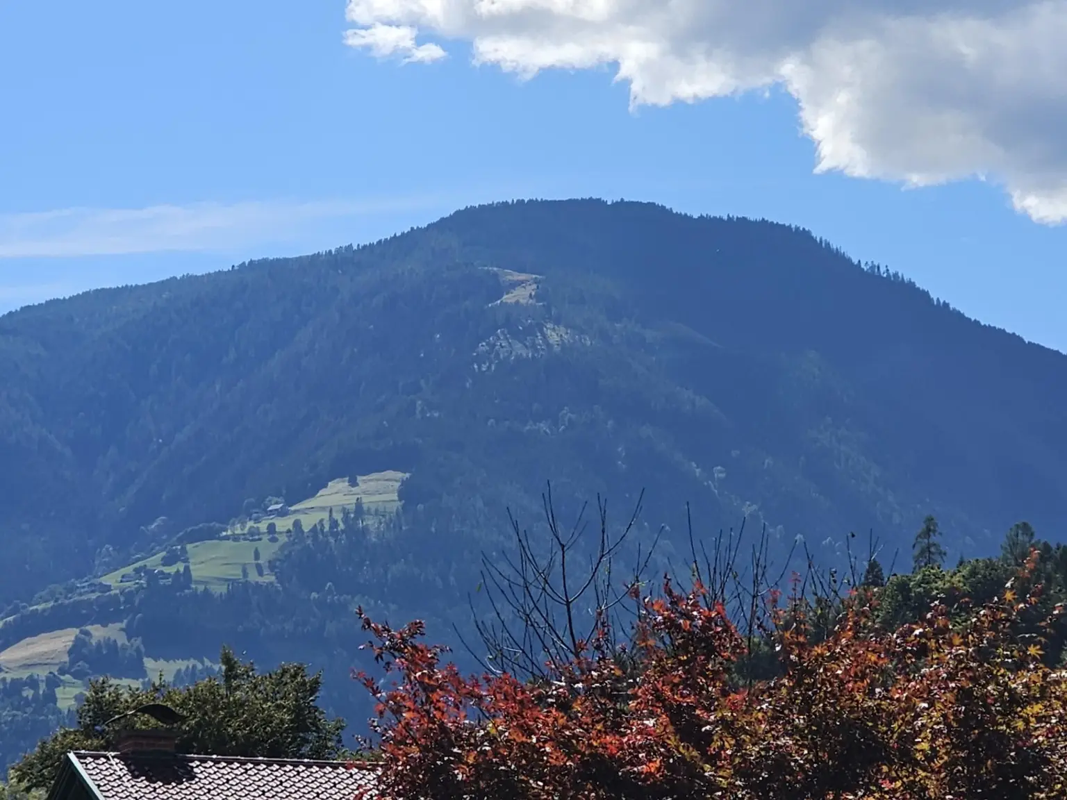 Gönnen Sie sich das Fundament für Ihr neues Leben - schönes Baugrundstück ohne Bebauungsverpflichtung