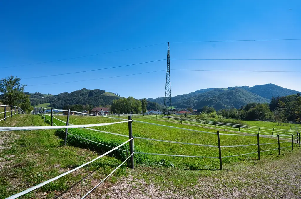 Reiterhof. Vierkanter. Wirtshaus. Zimmervermietung. Wohnungen. Natur.