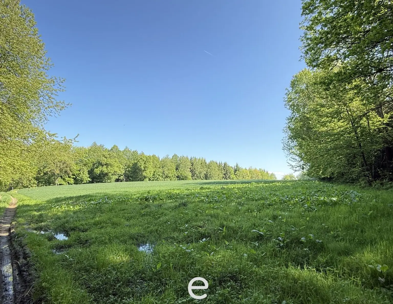 Acker mit 1,4ha in St. Marienkirchen a.d.Polsenz