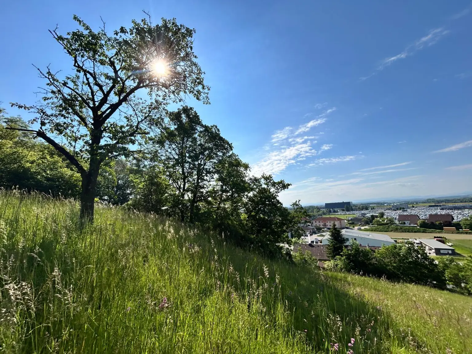 Traumhaftes Grundstück mit atemberaubendem Fernblick und charmanten Einfamilienhaus
