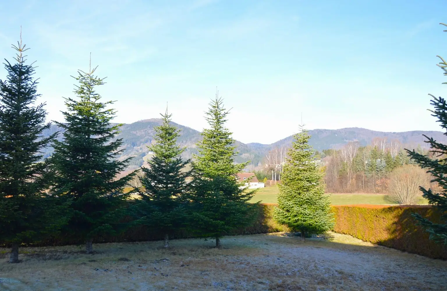 Garten mit Blick zum Kaltenberg