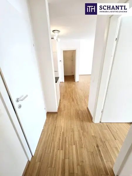 Ihre Wohlfühl-Oase in Best- und Ruhelage! Donauzentrum und Alte Donau um´s Eck! 3 ruhige Zimmer in Hoflage + Terrasse + Ideale öffentliche Anbindung! Jetzt zugreifen!