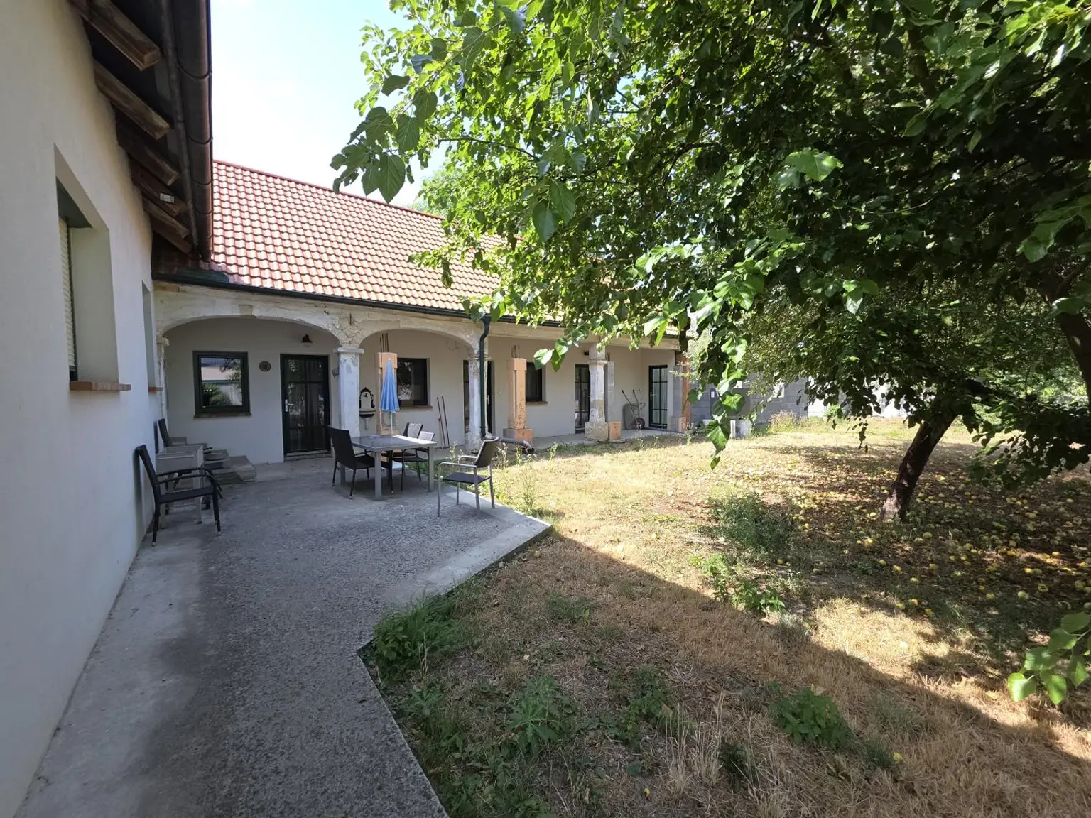 Garten (2)