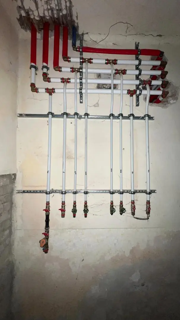 -20000434_1004159911_16344378