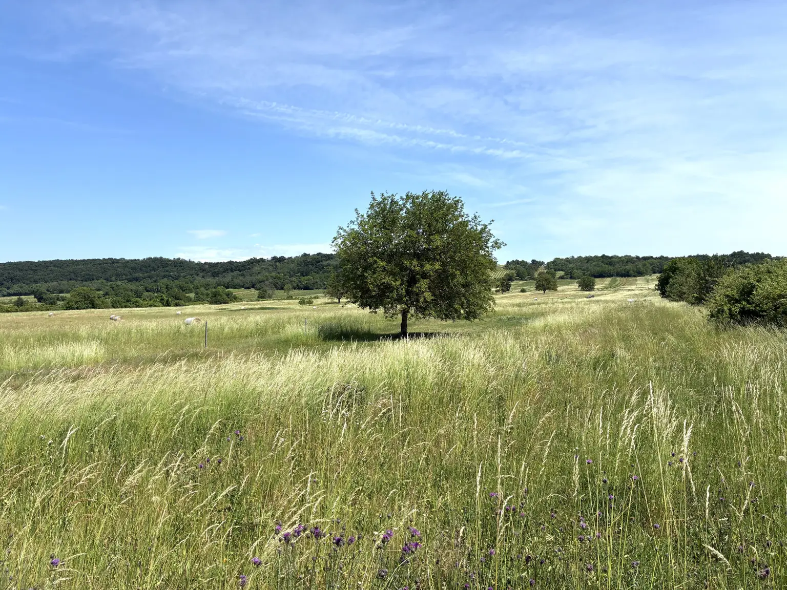 Ausblick Richtung See