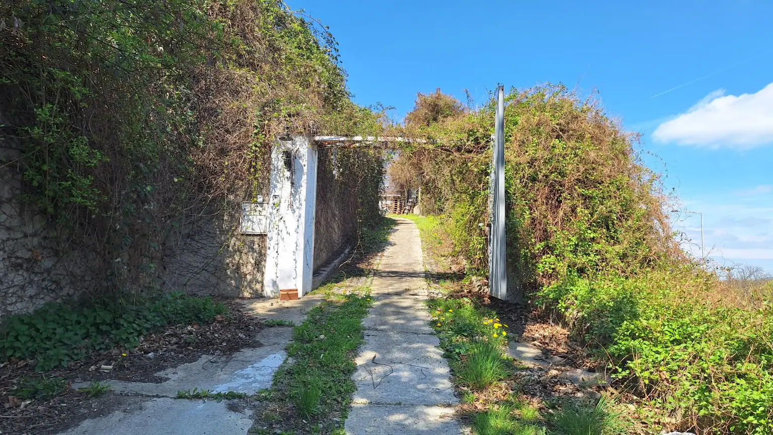 Edelrohbau-Villa, Herrschaftlicher Wohnsitz am Fuße des Kahlenberges an der Donau. Teilrestauriert entkernt und komplette Ausbauplanung.