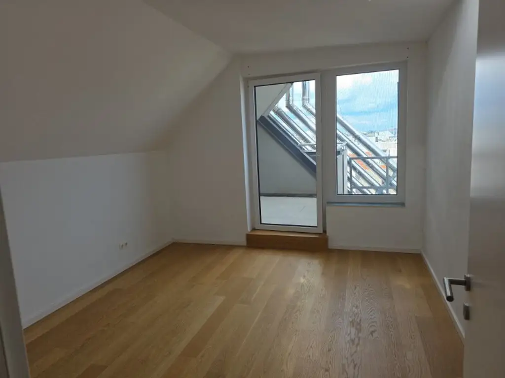 Über den Dächern von Wien  (Video)