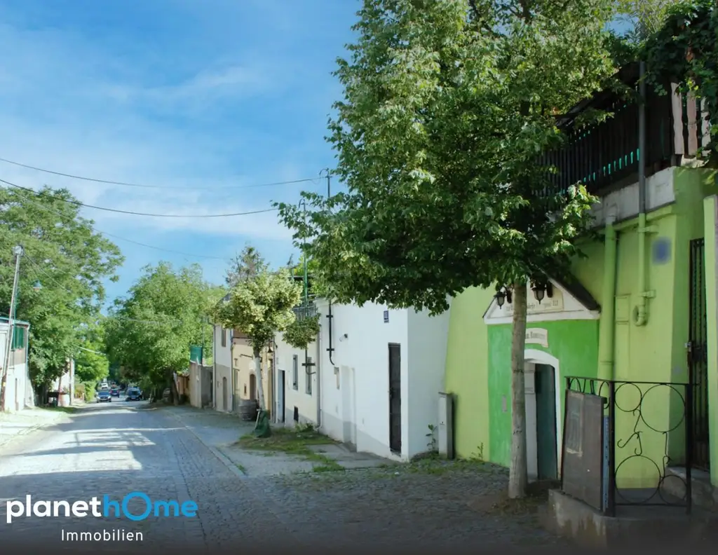 An der Wiener Stadtgrenze - zwei nebeneinanderliegende Grundstücke in Toplage bei Hagenbrunn!
