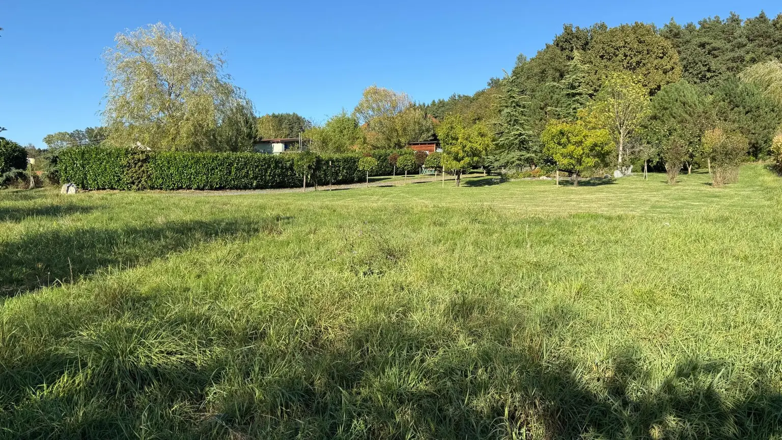 Attraktiver Bungalow auf einem großzügigen, sonnigen Grundstück in ruhiger Südlage