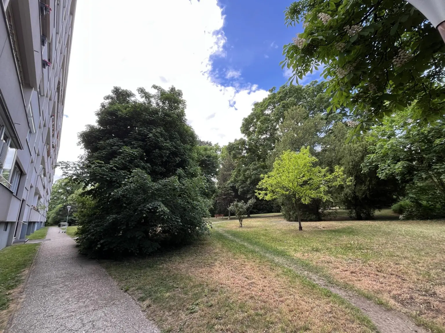 Viel Grün im angrenzenden Park