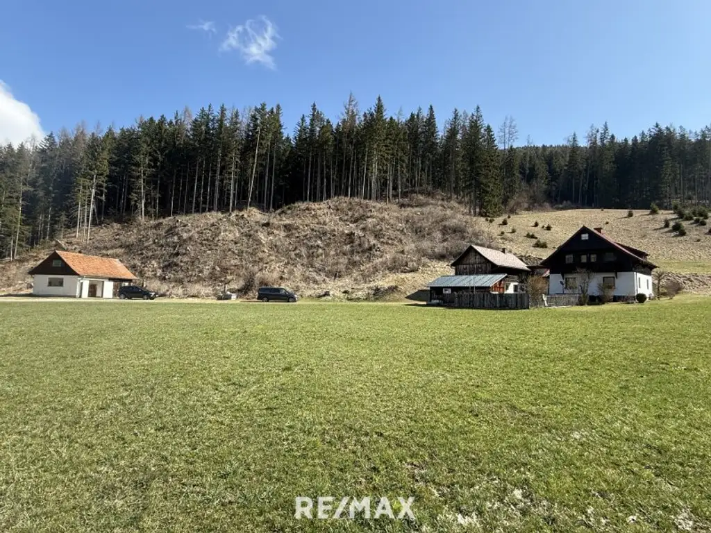 *** Charmantes teilsaniertes Landanwesen mit 10.978 m² Grund – Ruhe, Natur und vielseitige Nutzungsmöglichkeiten nur wenige Minuten zum grünen See ***
