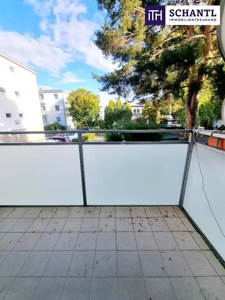 Absolute Grün- und Ruhelage! Gebraucht. Gepflegt. Geliebt! Perfekt aufgeteilte 3-Zimmer + separate Küche / 2 Balkone / Viele Möglichkeiten! Ruhig wohnen, gut leben!