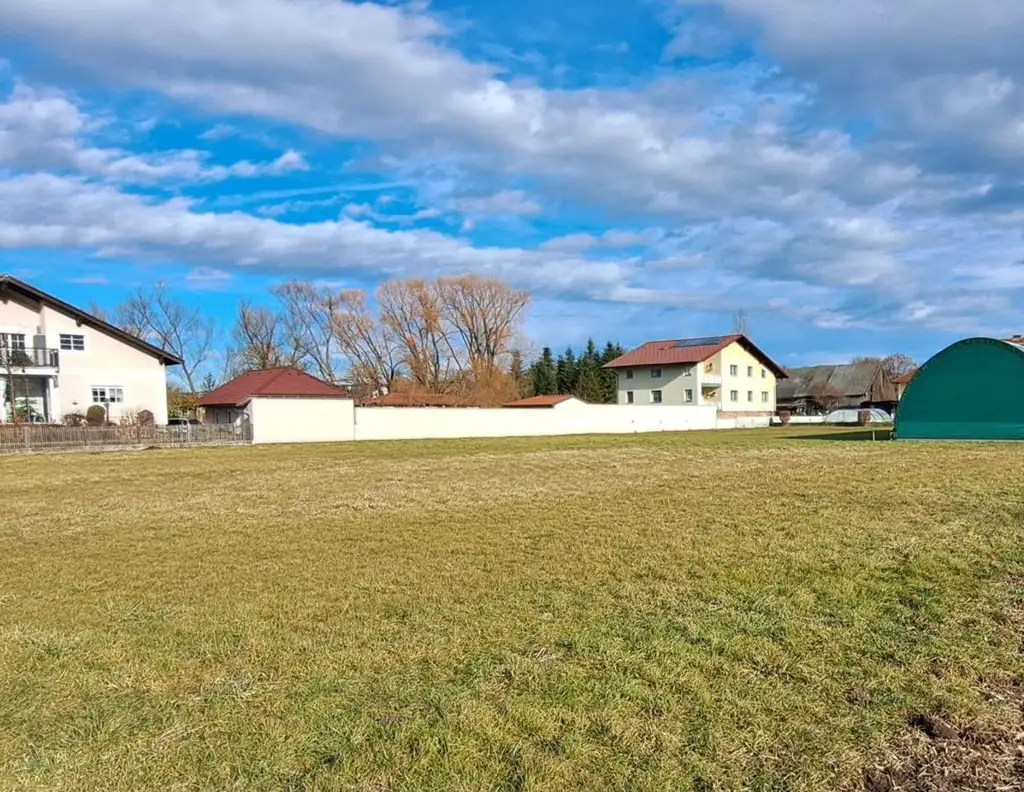 VIEL GRUND - VIEL GRÜN