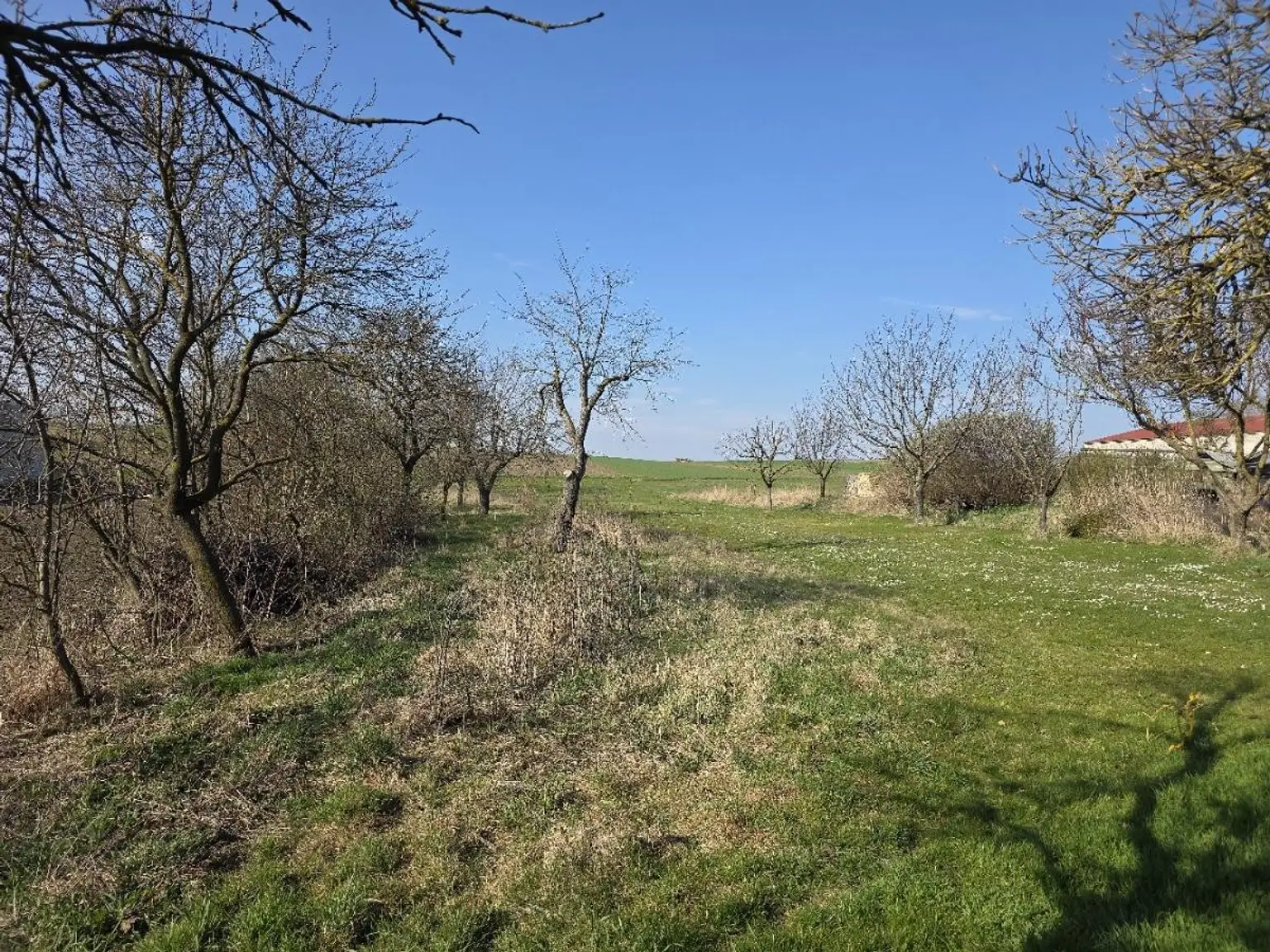 28 EFH 2004 Garten hintaus