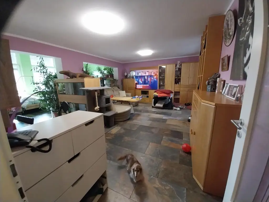 Ihr Traumhaus in Würmla - Wohnen mit Stil und Herz