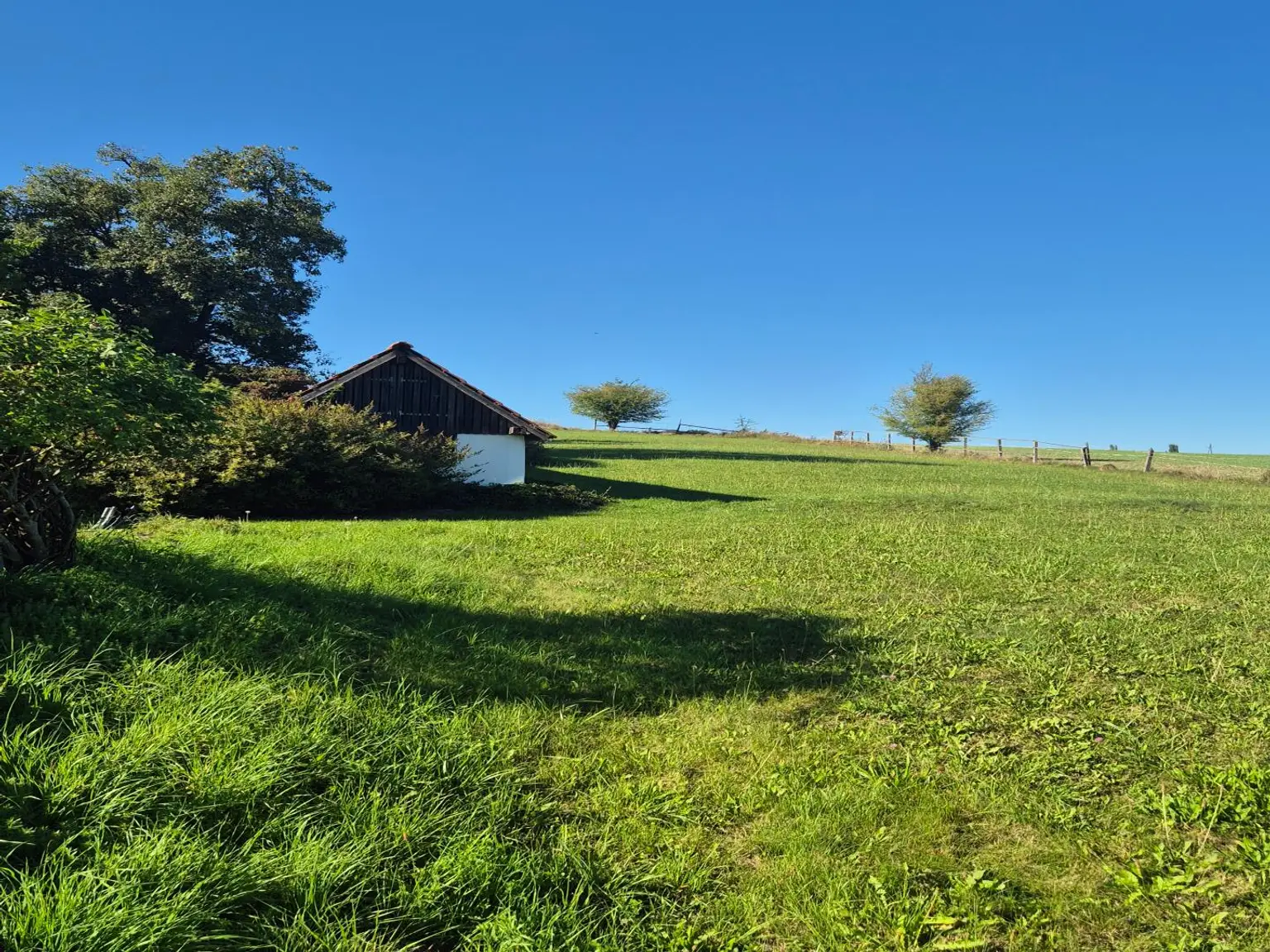 Wunderschöner Dreikanthof in Ruhelage mit Reithalle