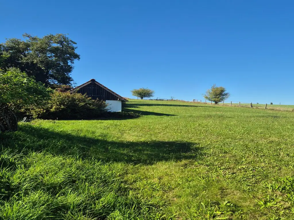 Wunderschöner Dreikanthof in Ruhelage mit Reithalle