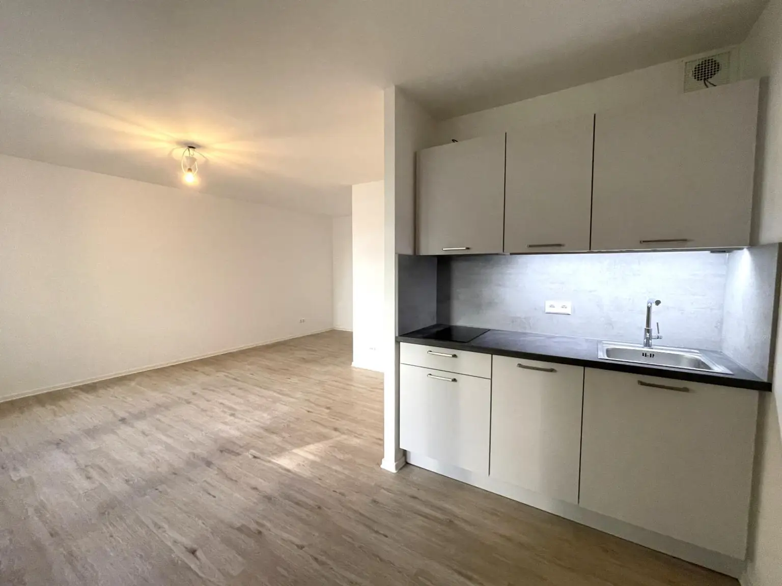 Top-sanierte 1-Zimmer-Wohnung in Hofruhelage