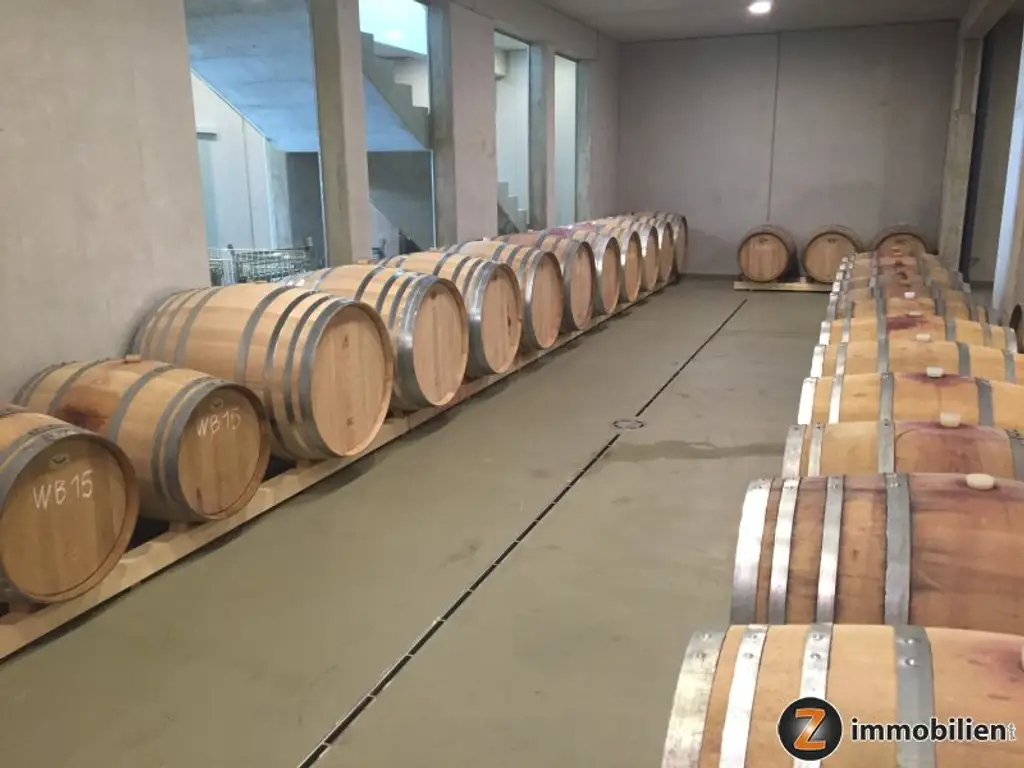 Weingut mit ca. 4 ha Weingärten im Südburgenland!