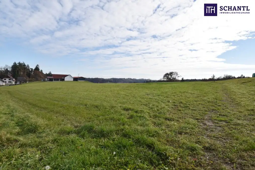 SPITZEN Grundstück vollerschlossen mit hoher Bebauungsdichte - ca. 330m² Wohnfläche in Oisnitz / St. Josef - Nähe Lannach