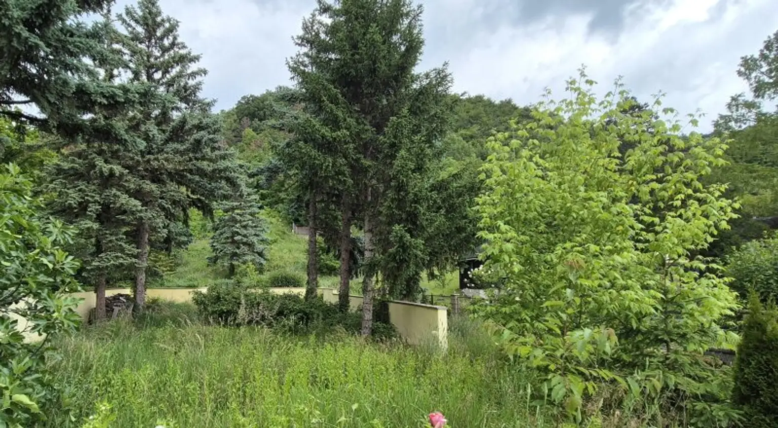 Ein-/Mehrfamilienhaus auf Eigengrund