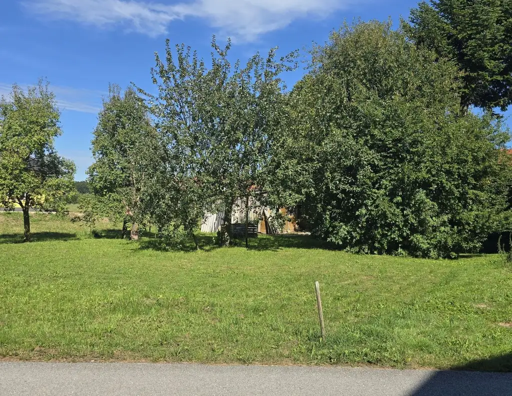 Attraktives Baugrundstück für Ihr Eigenheim oder als Geldparkplatz !