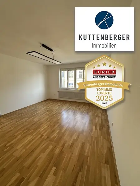 BÜRO MIT 5 ZIMMER IN DER SCHÖNEN ALTSTADT VON KREMS-STEIN MIT DONAUBLICK