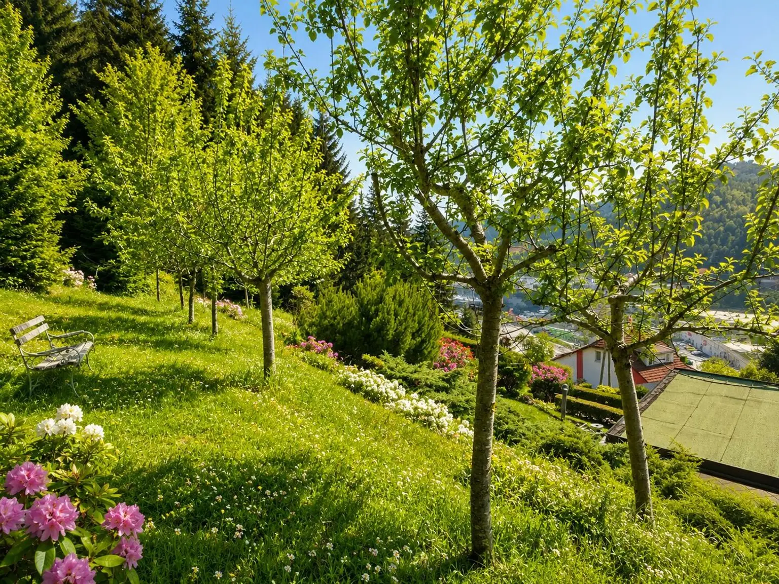 Ansicht Garten 1