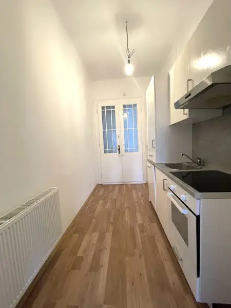 Altbaucharme - neu sanierte 1-Zimmer Wohnung mit möglichen Balkon - Nähe Landstraße