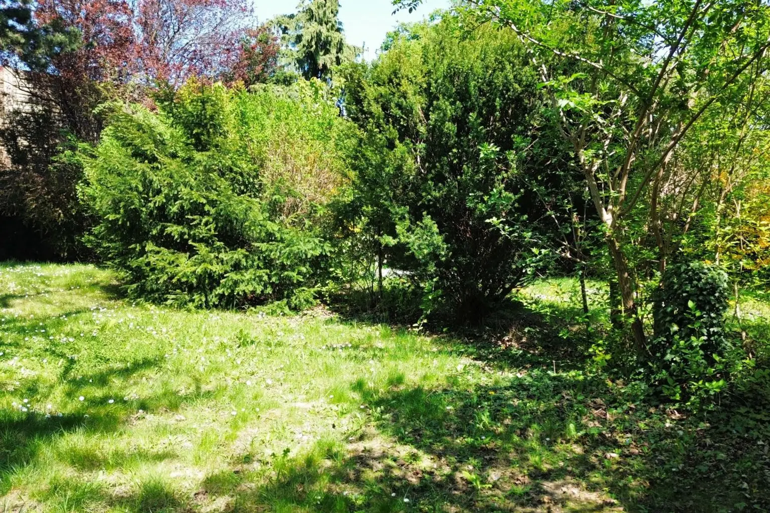 Bild-20260418-100949