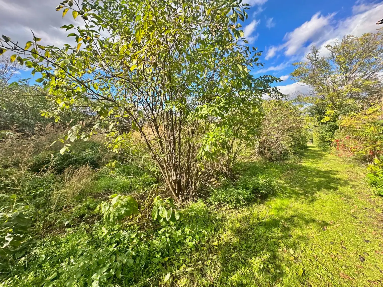 Reiterparadies im Weinviertel – Ihr Traum vom Landleben!