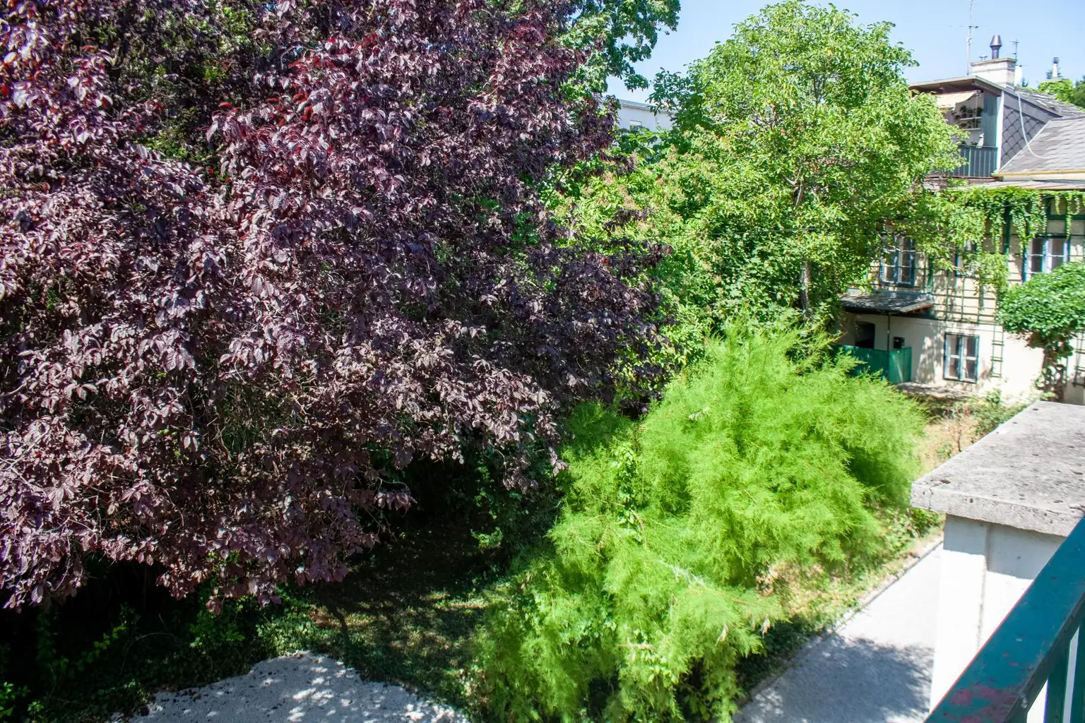 OG Blick von der Terrasse in den Garten