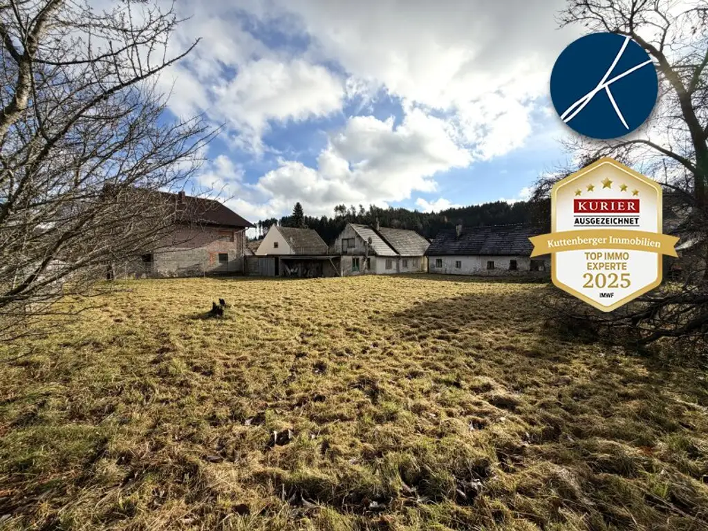 Sanierungsbedürftiges Landhaus mit großer GARTENFLÄCHE