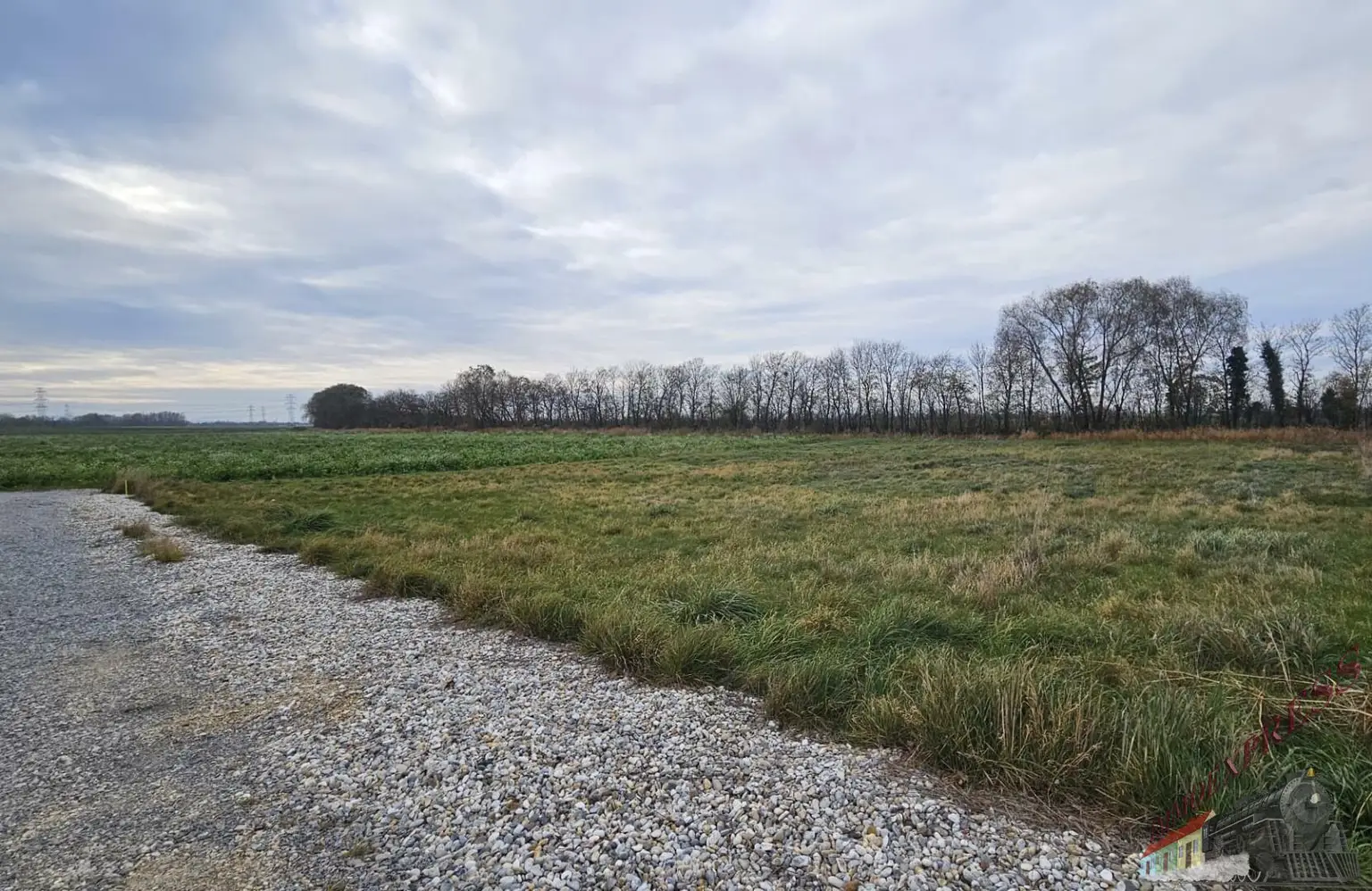 WhatsApp Image 2025-11-16 at 13.45.53 (1)