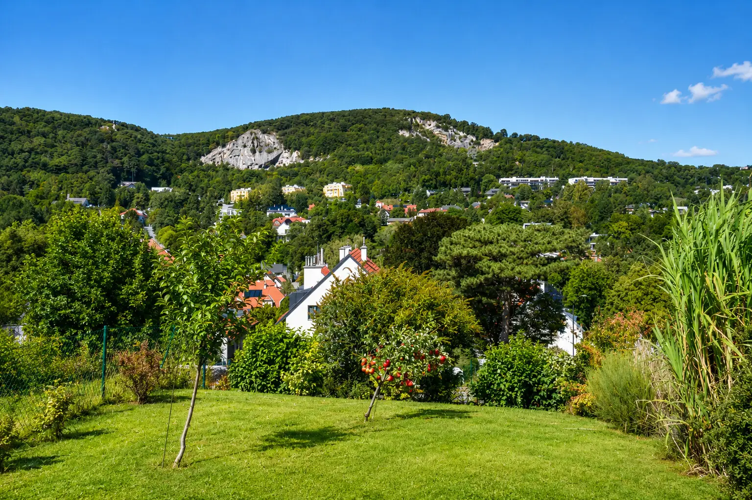 Ausblick