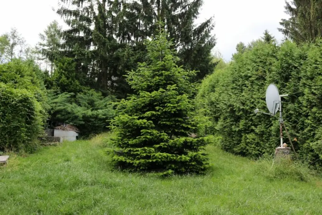 *** HAUS MIT POOL UND WINTERGARTEN - IDEAL FÜR NATUR- UND TIERFREUNDE ***