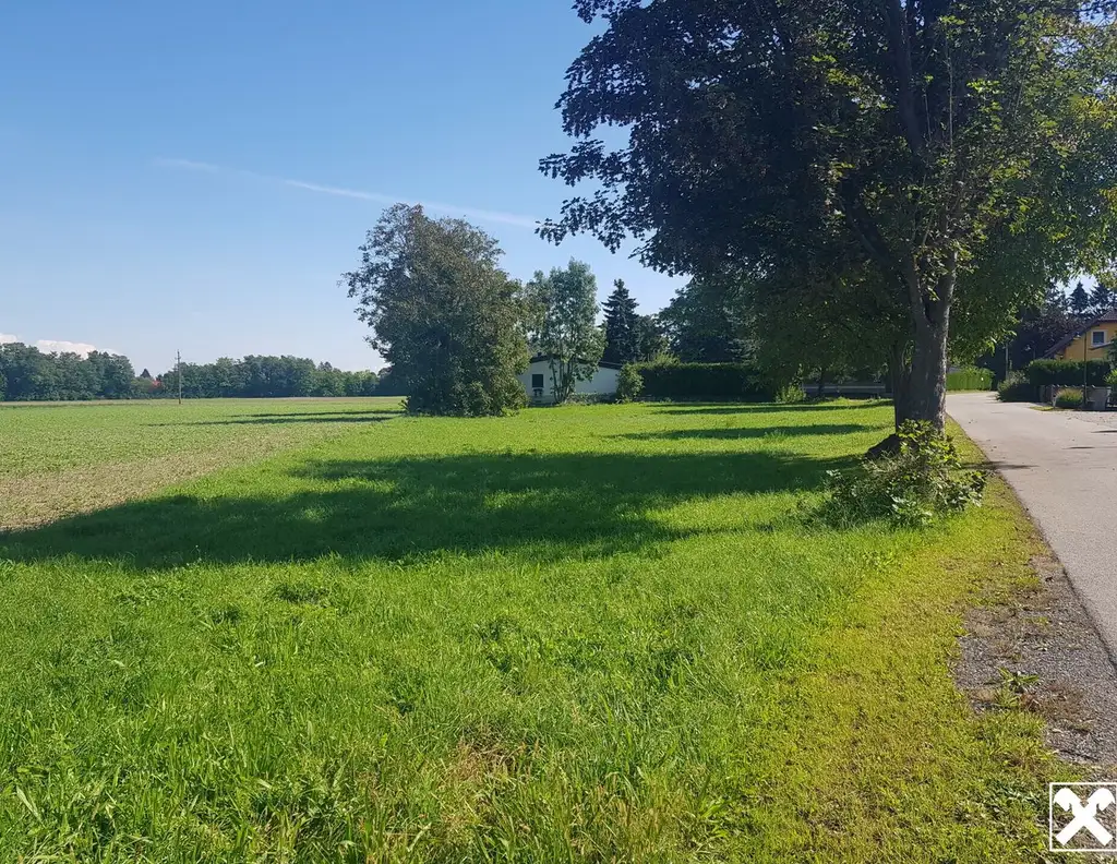 GELDANLAGE OHNE BAUZWANG, PROJEKTLIEGENSCHAFT ODER IHR BAUGRUNDSTÜCK FÜR IHR TRAUMHAUS?