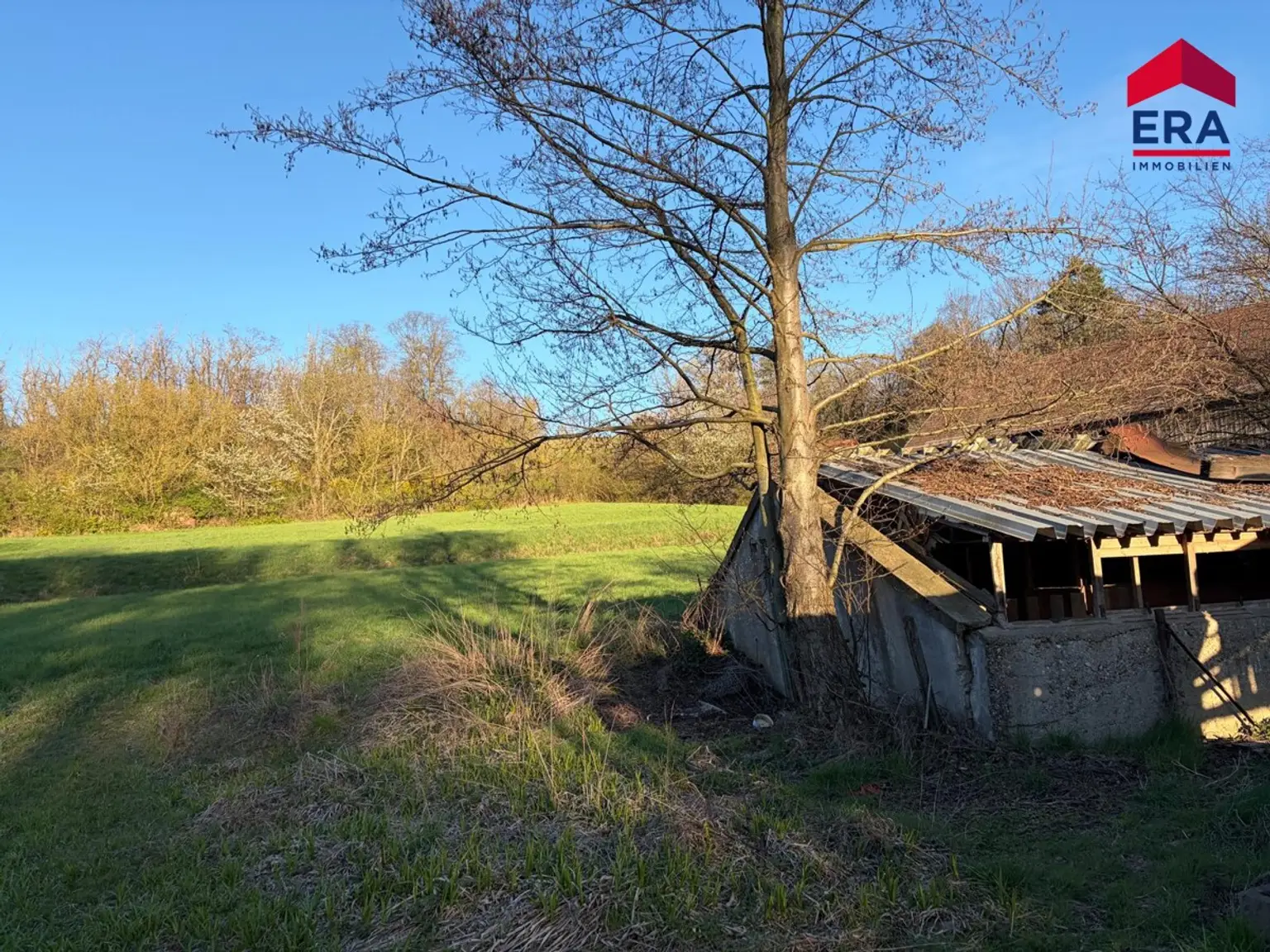 Exklusives Freizeitgrundstück in absoluter Grünruhelage – Natur, Weite & vielfältiges Potenzial in Gaweinstal