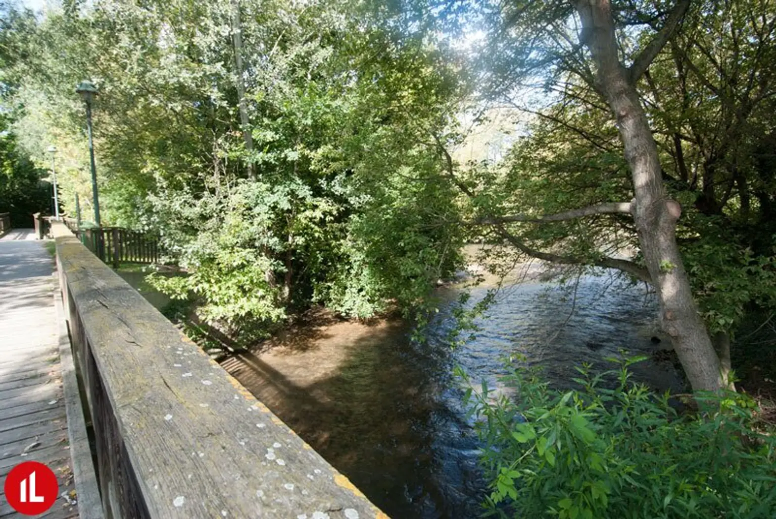 Fischamend - Nähe Flughafen: perfekte 1 Zimmer Singlewohnung zu mieten!