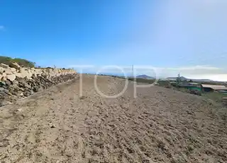 Land-Granadilla-xxx-Teneriffa-5