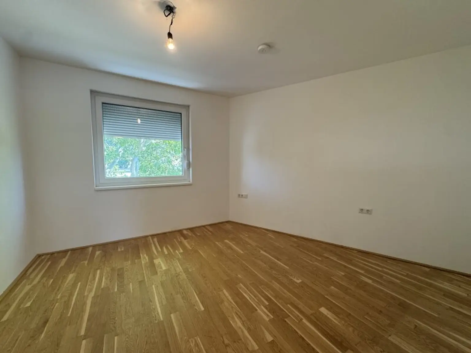 3 Zimmer Wohnung! Bezugsfertig ab sofort! Schnell sein!!