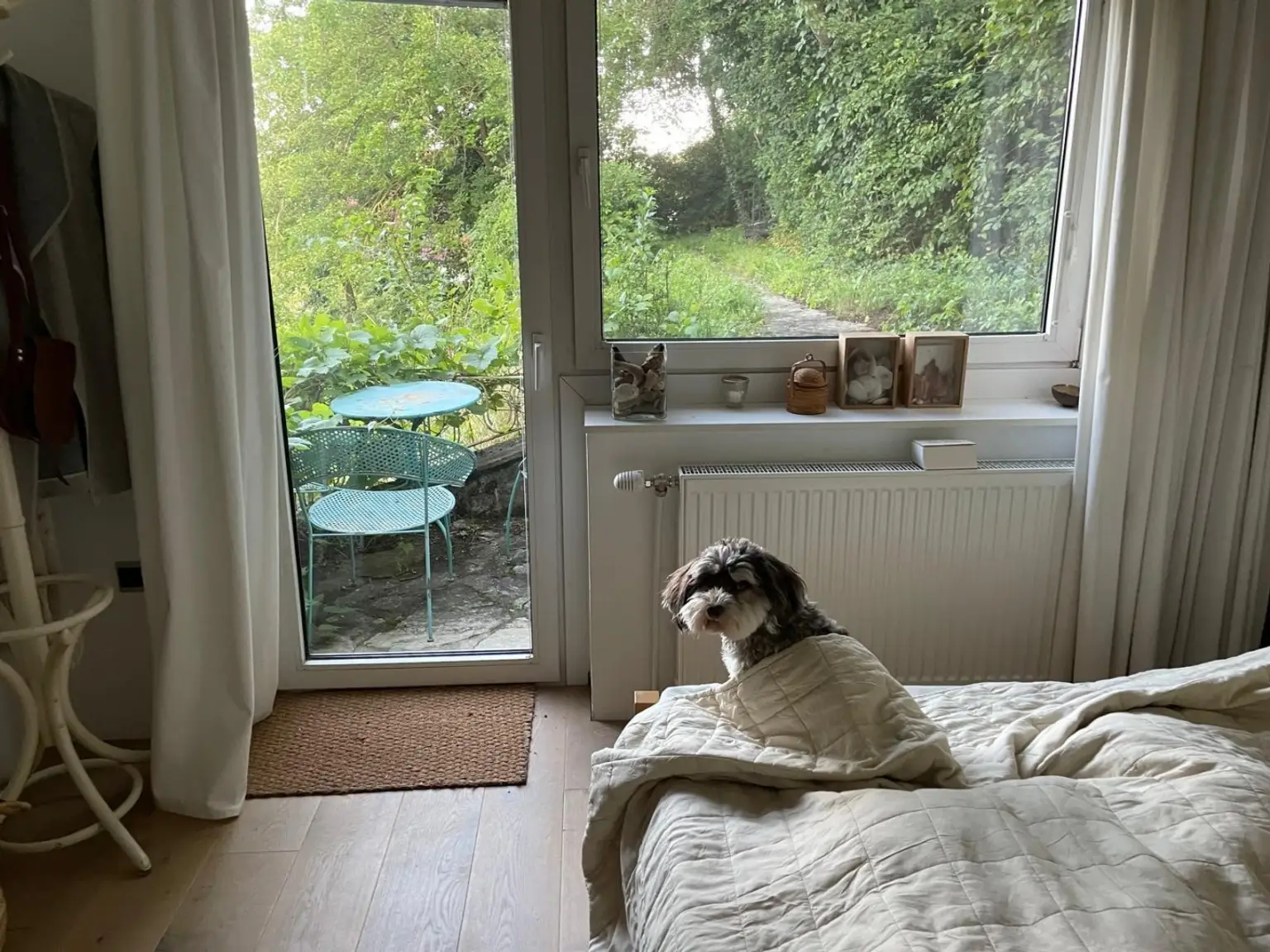 Zum Pudel-Wohlfühlen, Zimmer mit Aussicht