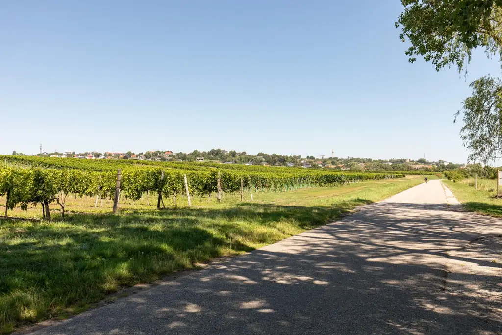 BAULAND in Neusiedl am See – Wohnen im Grünen mit bester Lebensqualität